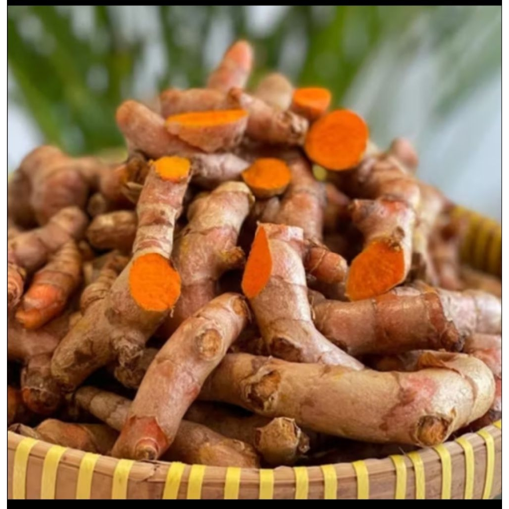 

kunyit segar kunyit bumbu_550gr_1kg