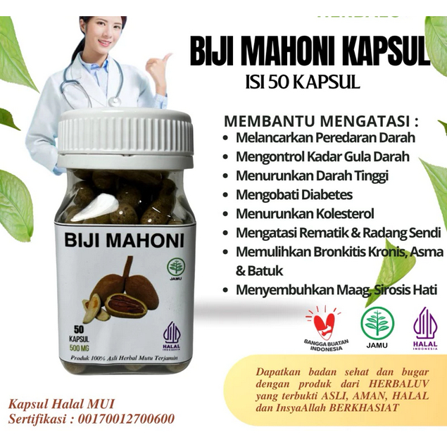 Kapsul Biji Mahoni Original Herbal