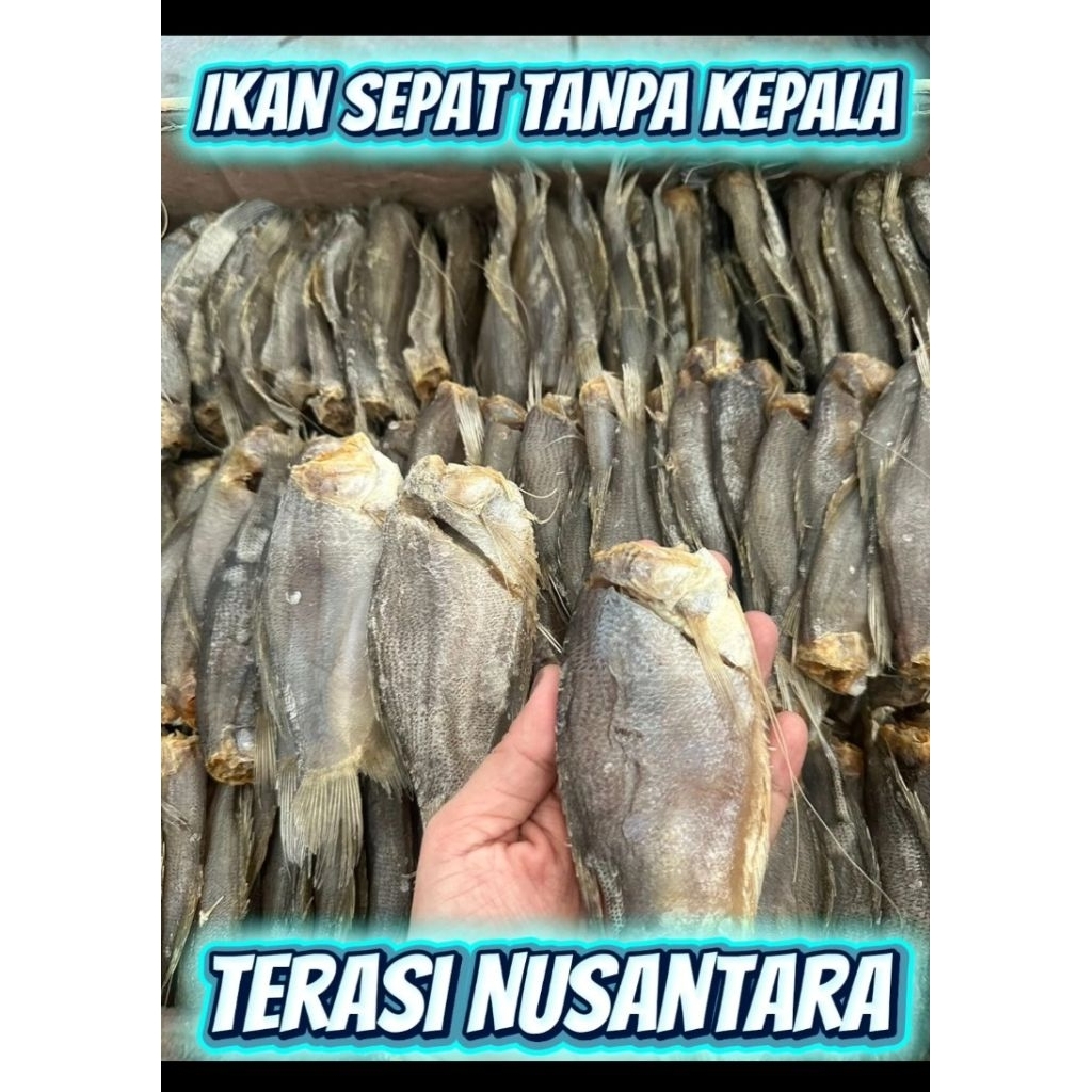 

Terasi Nusantara IKAN SEPAT TANPA KEPALA kualitas SUPER PREMIUM FRESH