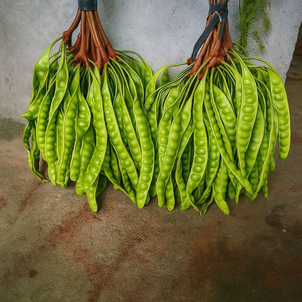 

Petai Ikat Segar 5 Papan – Fresh, Biji Tebal, Cocok untuk Sayur, Sambal, Tumis & Masakan Tradisional