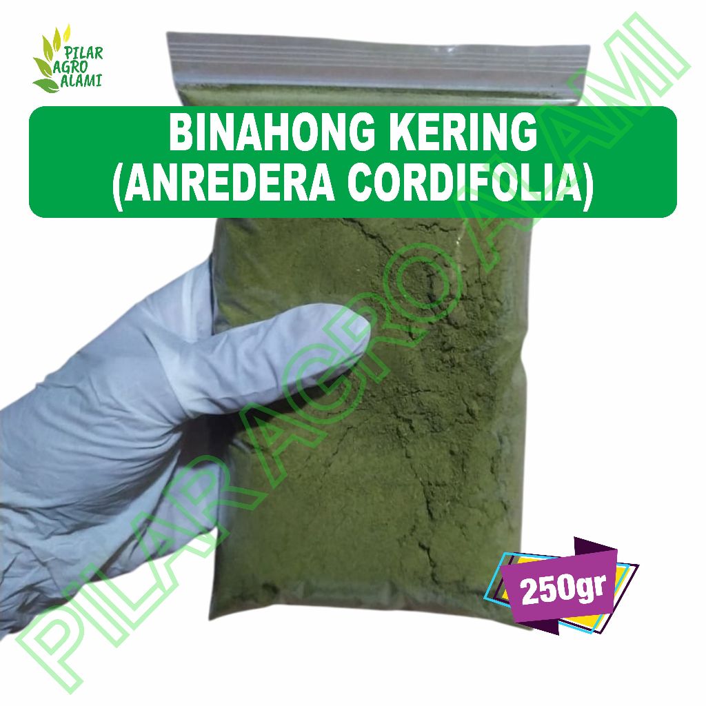 

Binahong bubuk 250gr murni asli tanpa campuran