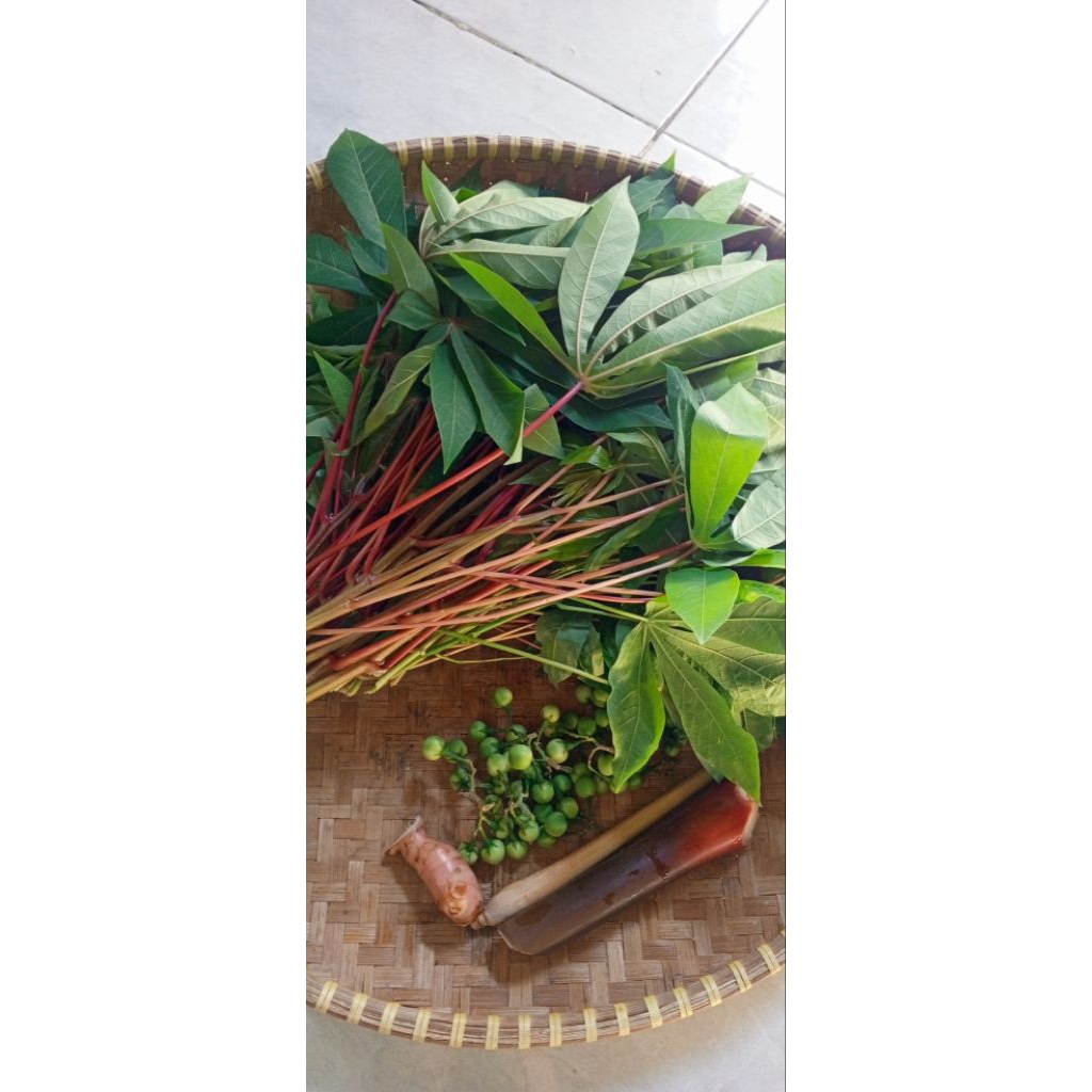 

Paket Promo Daun singkong+Rimbang+Rias (Batang kencong)+ Sereh+Lengkuas //Paket Daun singkong tumbuk//Paket Kumplit daun singkong tumis