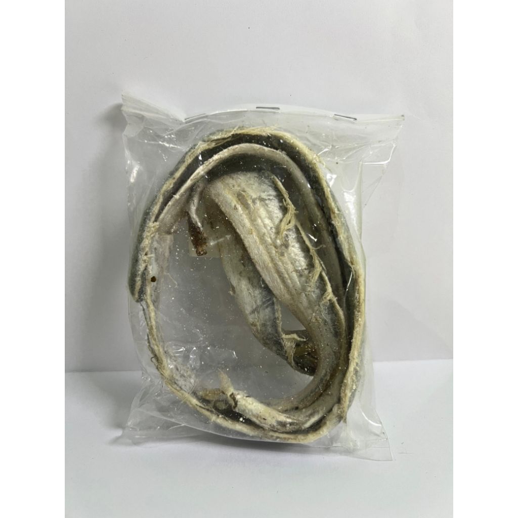 

Ikan Asin Layur Kecil 75 Gram - Proses Pengasinan Singkat & Karakteristik Khas - Berat 75 Gram