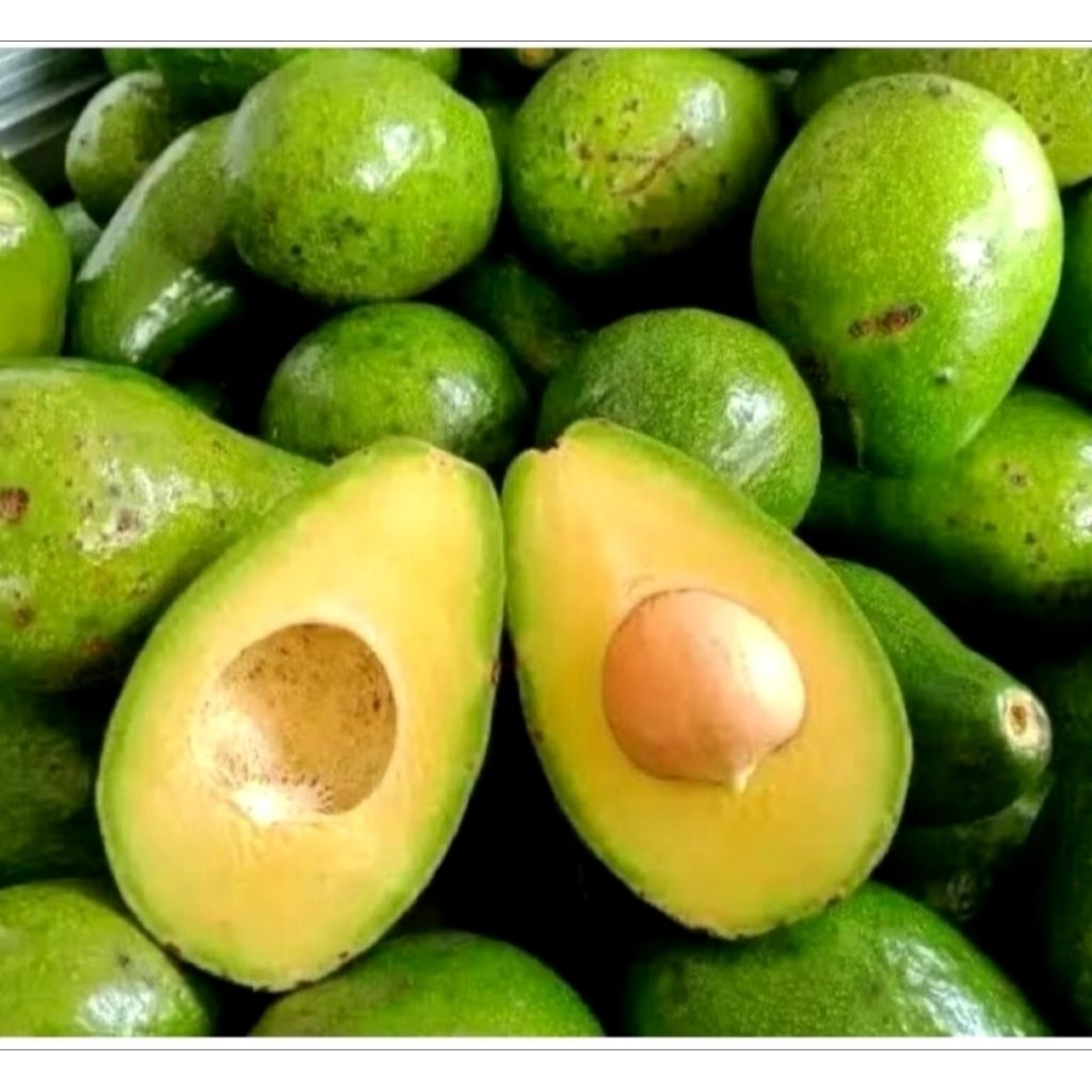 

alpukat mentega sedang 1 kg isi 5-6-7 bergaransi (dikirim mentah)