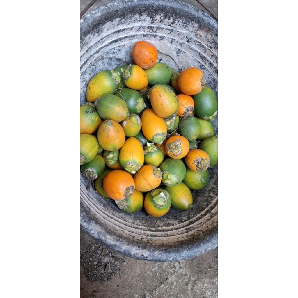 

pinang betara belah dua dan kering 500 gr