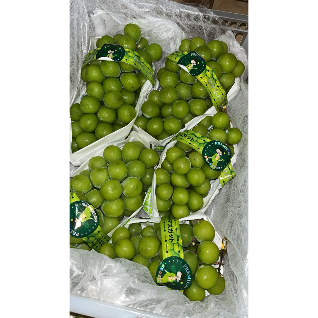 

Anggur Shine Muscat (Jumbo Manis Legit)