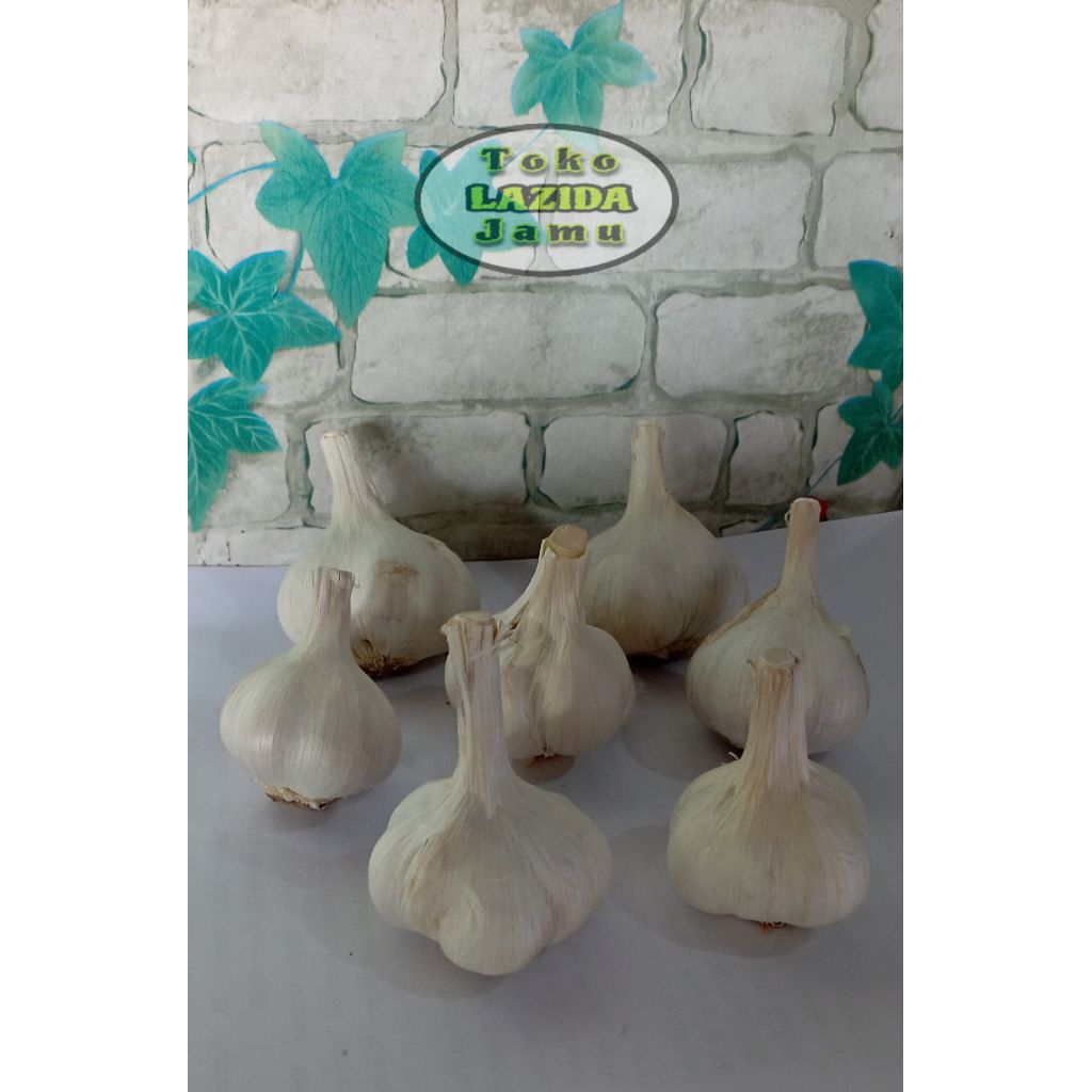 

bawang putih kating murah // bawang putih kating herbal dan rempah