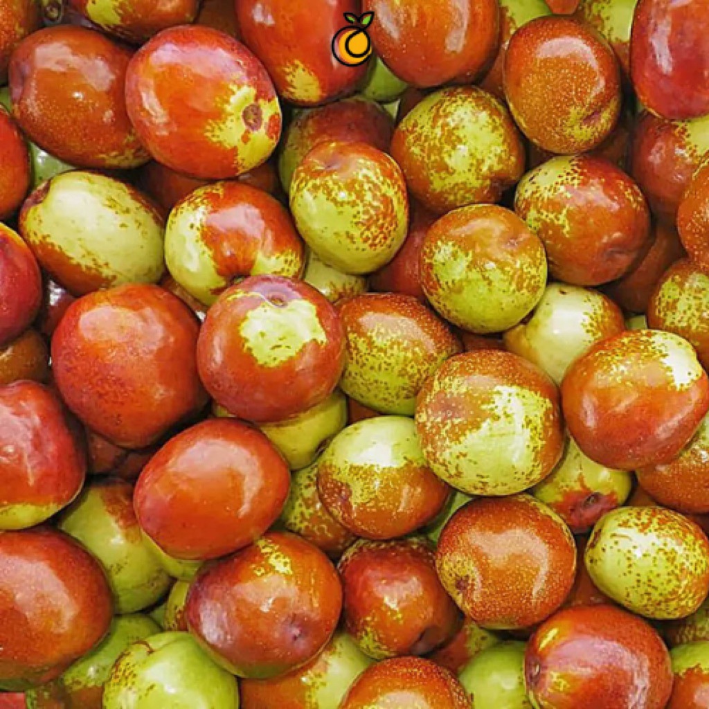 JUJUBE 500 GRAM - BUAH JUJUBE FRESH 500 GRAM