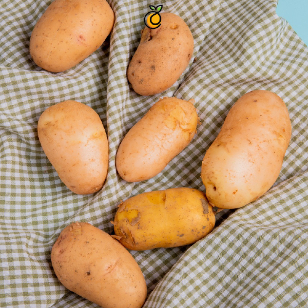 

UBI KUNING 1 KG - YELLOW SWEET POTATO 1 KG