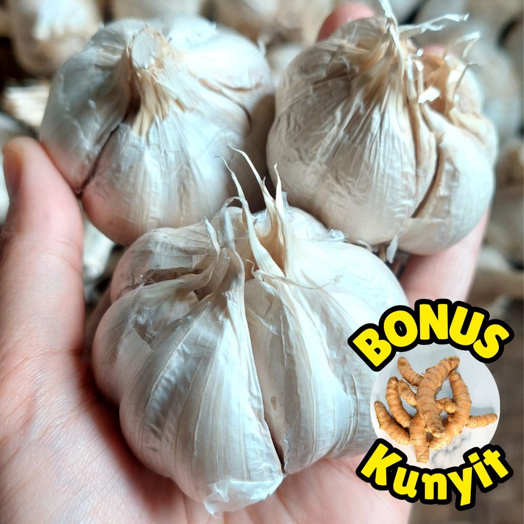 

BAWANG PUTIH KATING super Premium sedap bumbu dapur rempah alami organik
