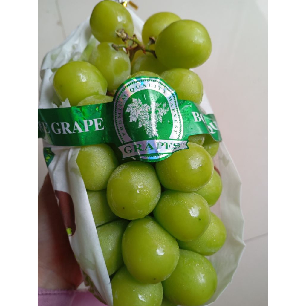 

Anggur shine Muscat Buah import