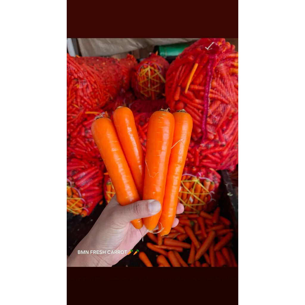 

wortel lokal fresh 1 kg belum cuci