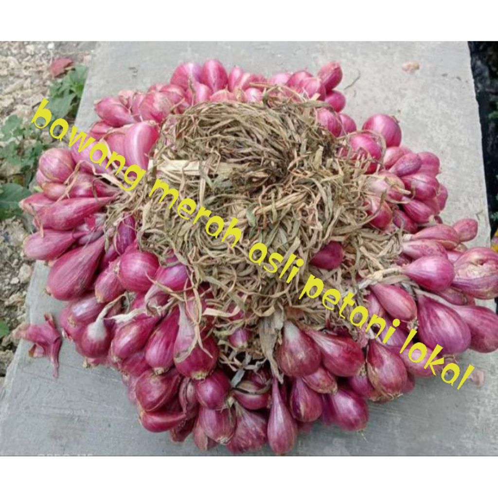 

bawang merah kering harga murah bawang berkualitas tinggi langsung petani lokal,bawang merah menambah aroma pasakan anda
