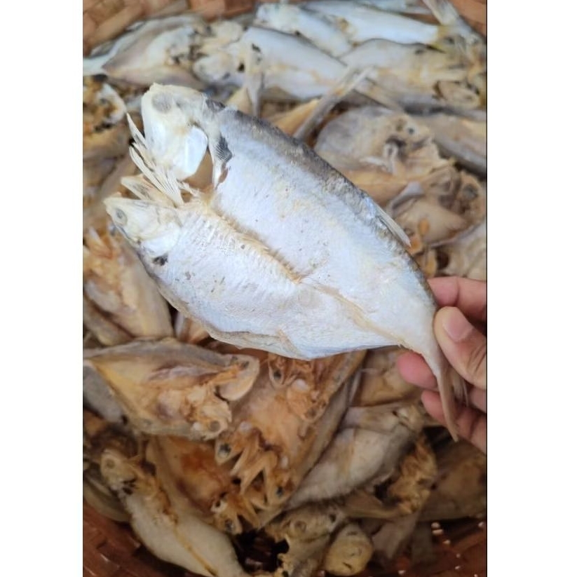 

Ikan Asin Bilis Super 1 Kg