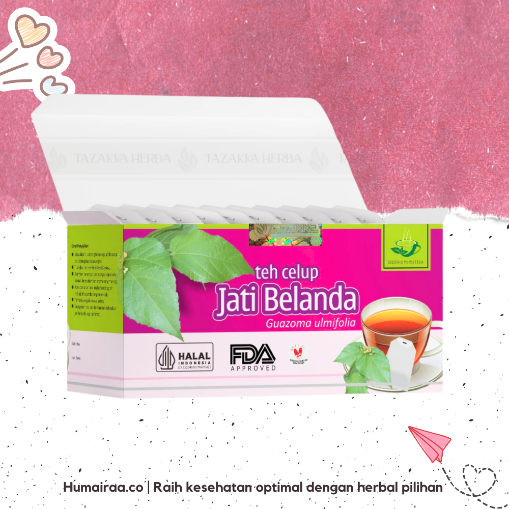 

Teh Celup Jati Belanda Tazakka 100% ORIGINAL TANPA RAGU OBAT HERBAL BPOM HALAL MUI DINKES PIRT