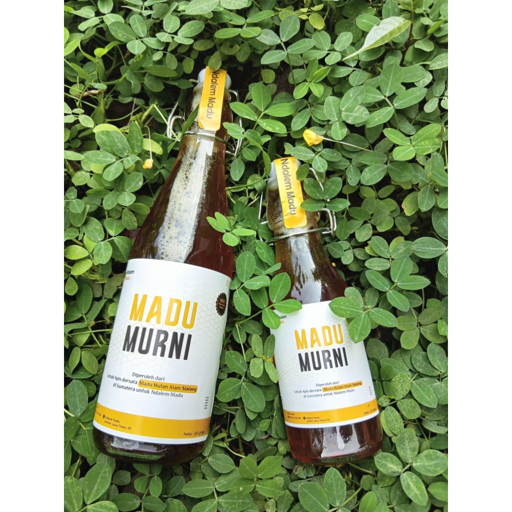 

Madu Hutan Sialang 320 gram Asli Alami 100% Raw Honey Lebah Apis Dorsata