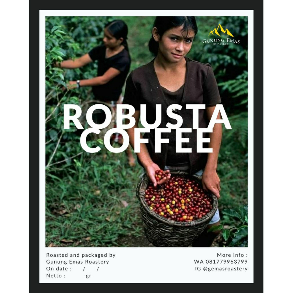 

Kopi Sangrai Biji Robusta Pulosari Pemalang Grade 1