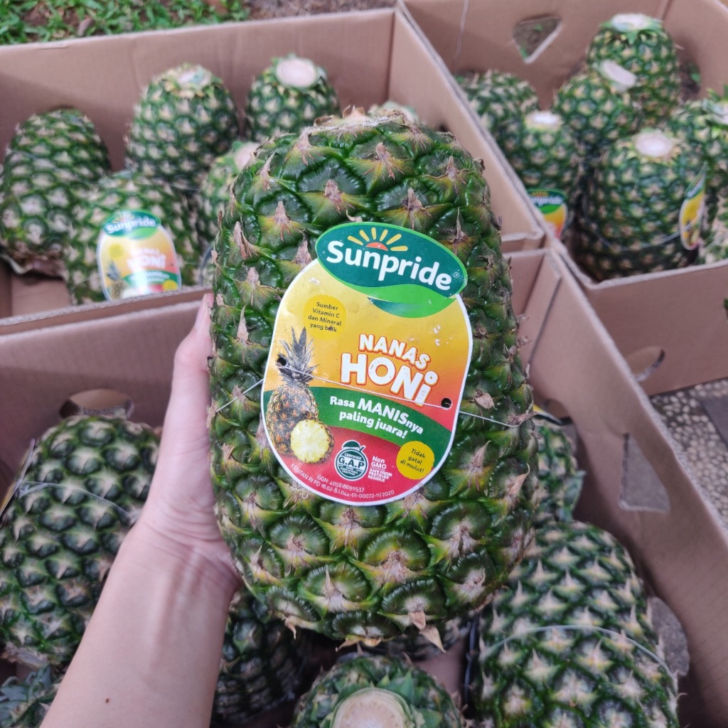 

Nanas Sunpride Honi Ukuran Besar Jumbo