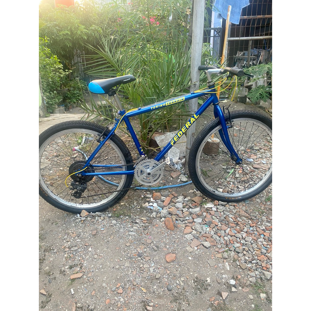 sepeda federal torino full bike