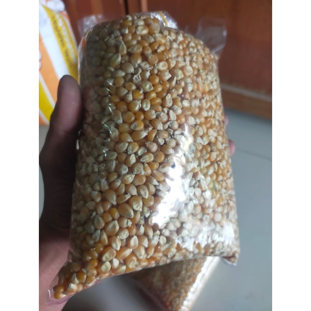 

Jagung Popcorn/Jagung snake Yellow/Jagung manis berat 1000gram
