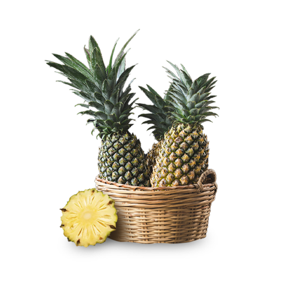 

Nanas Palembang 1 Pcs _ Nanas Kupas Palembang 1 Pcs