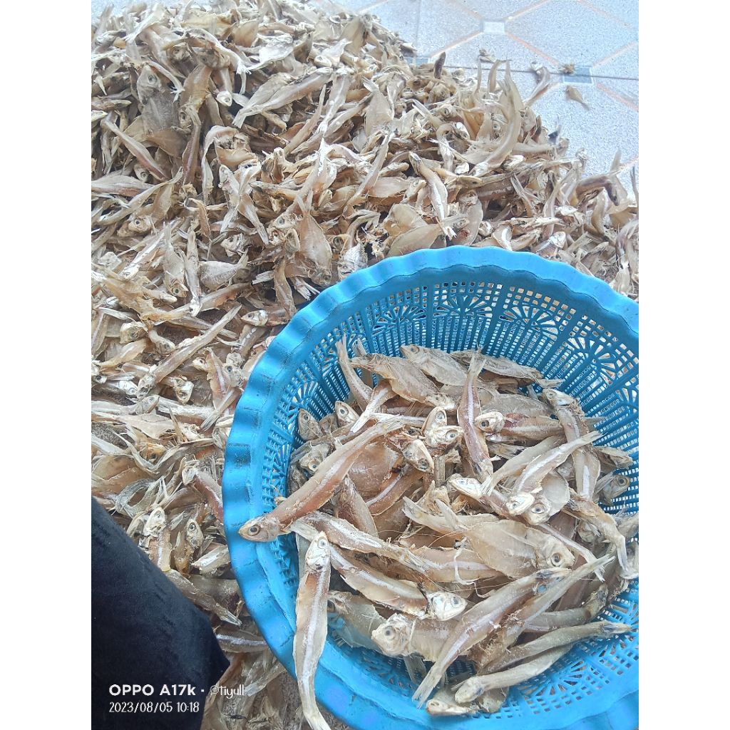 

Ikan Kering Ikan Teri Tawar Murah Berkualitas