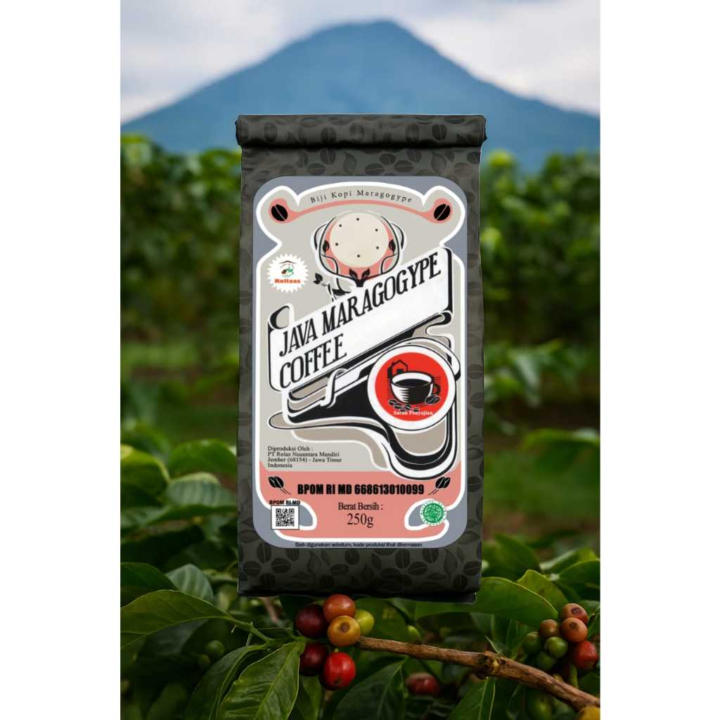 

Kopi Biji Arabika Maragogype 250 gr - Rollaas Java Coffee Arabica