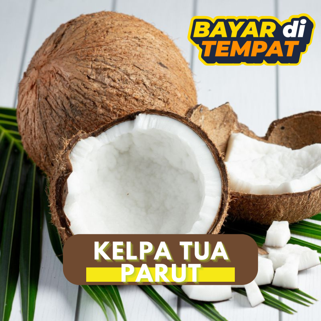 

KELAPA TUA BULAT UNTUK PARUT/1 butir kelapa tua untuk santan bahan pokok lainnya