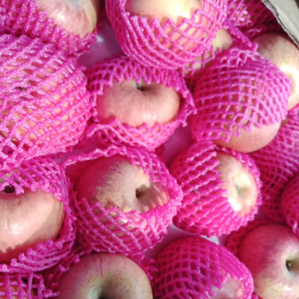 

Apel Fuji merah/apel fuji manis/apel