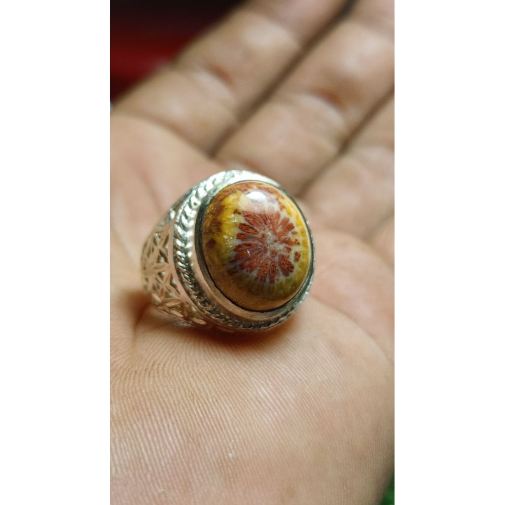 natural teratai tunggal merah