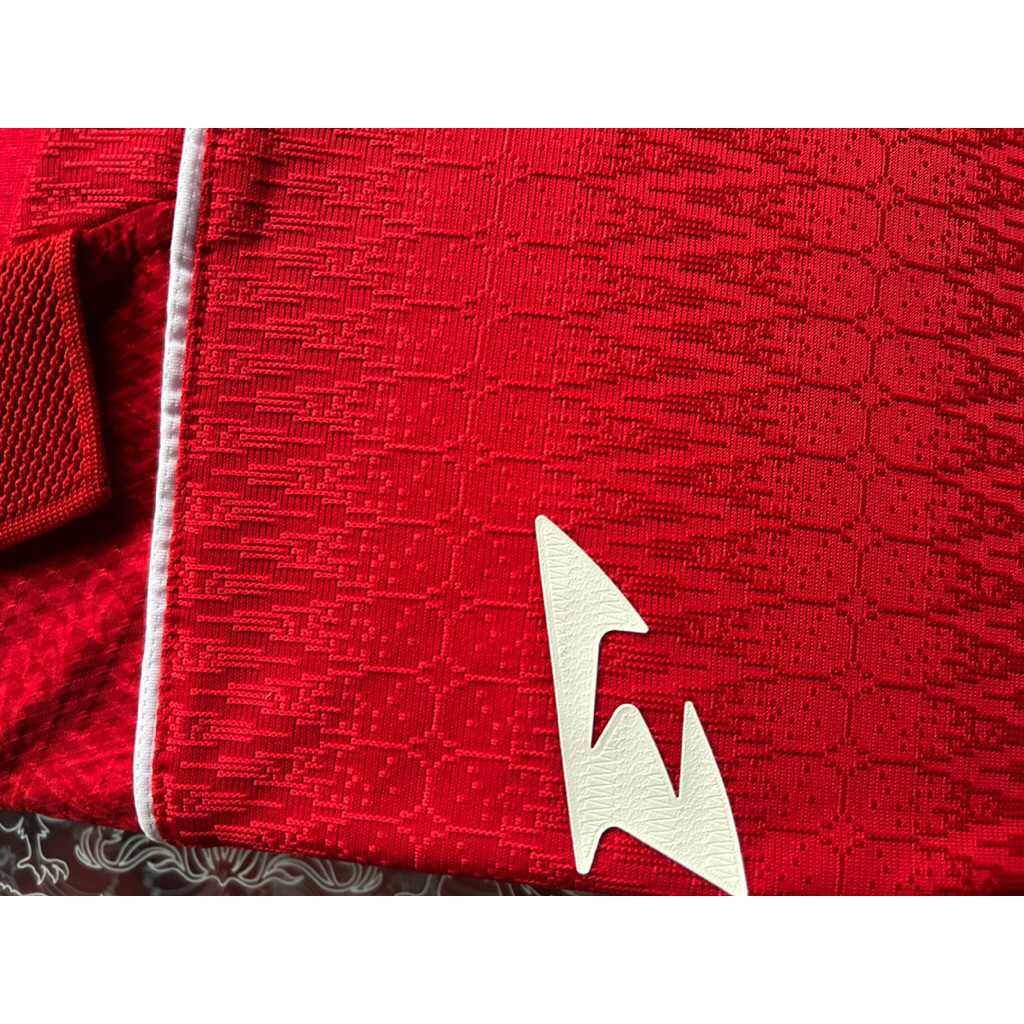 jersey erspo player issue 2024-2025