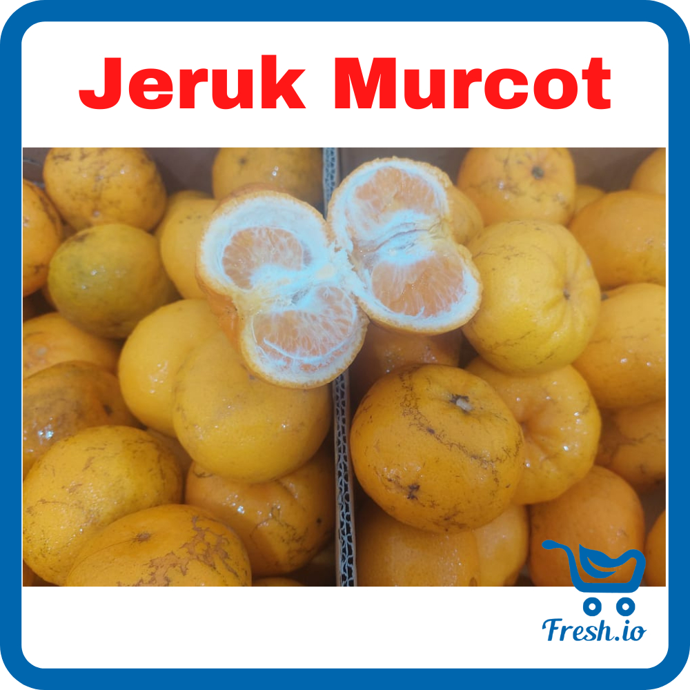 

Jeruk Murcot
