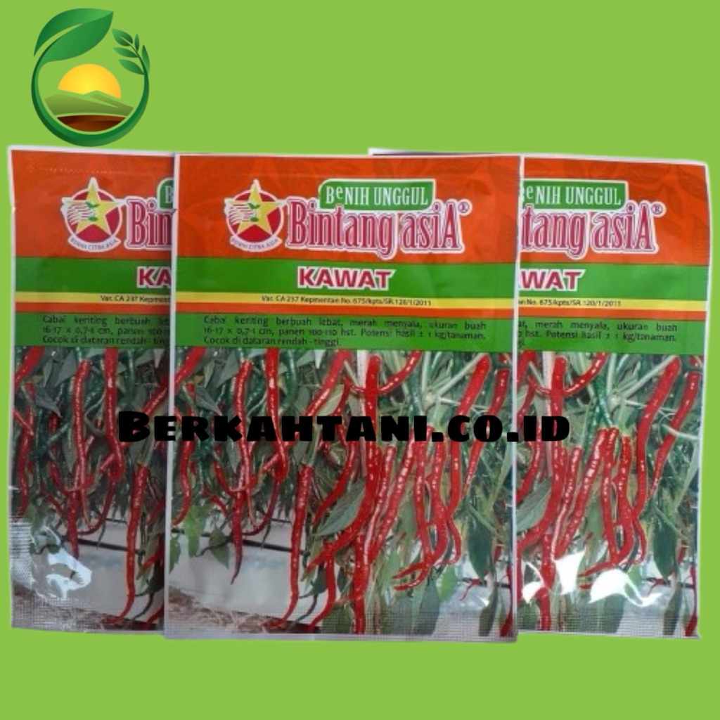 Kawat 10gr Benih Cabai Keriting Bintang Asia Red kriss TM 999 Ferosa