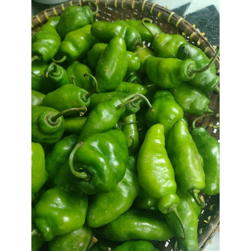 

Cabe Gendot segar asli Ciwidey