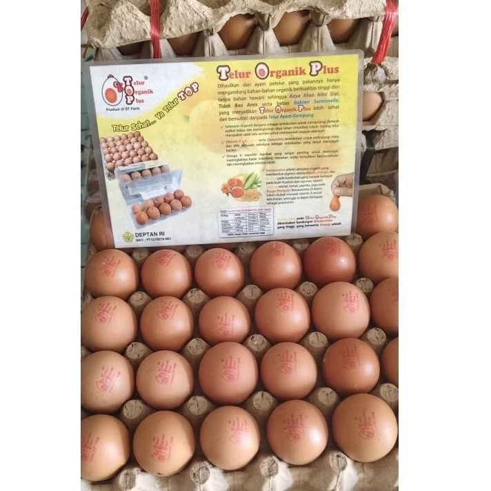 

TELUR ORGANIK PLUS omega 3 TOP