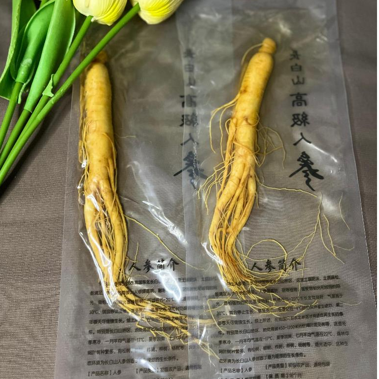 

Ginseng Segar Asli China – Fresh Gunung Changbai Gingseng Fresh