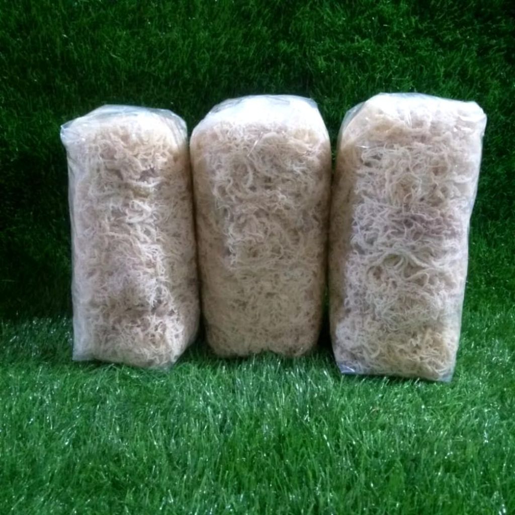 

Rumput Laut Sp Kering 1Kg_3Kg Buat Es Dan Agar