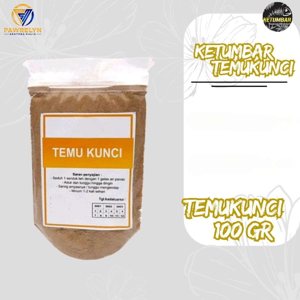 

Ketumbar Attractant - Serbuk Temu Kunci 100% Murni 100g – Jamu Tradisional / Bumbu Dapur alami