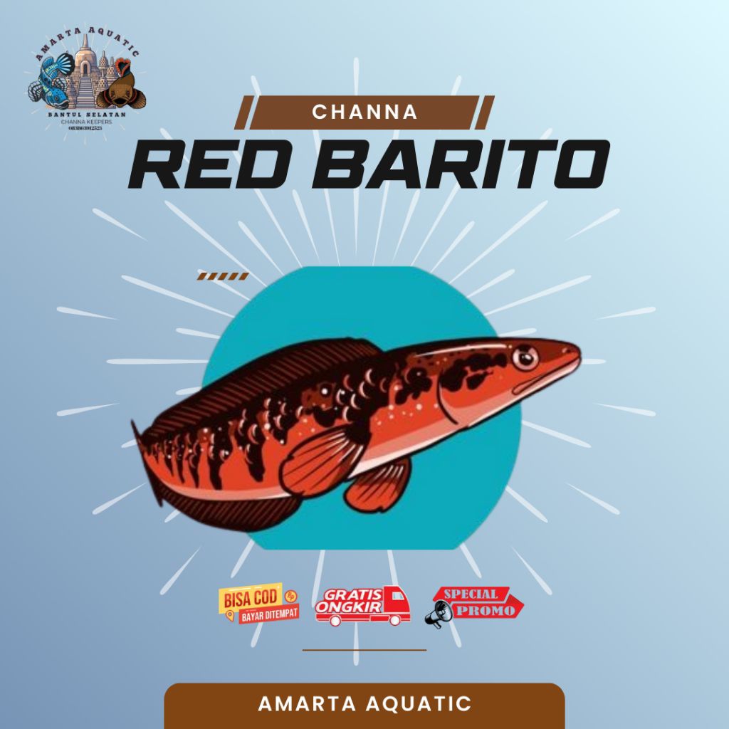 AA Maru Red Barito