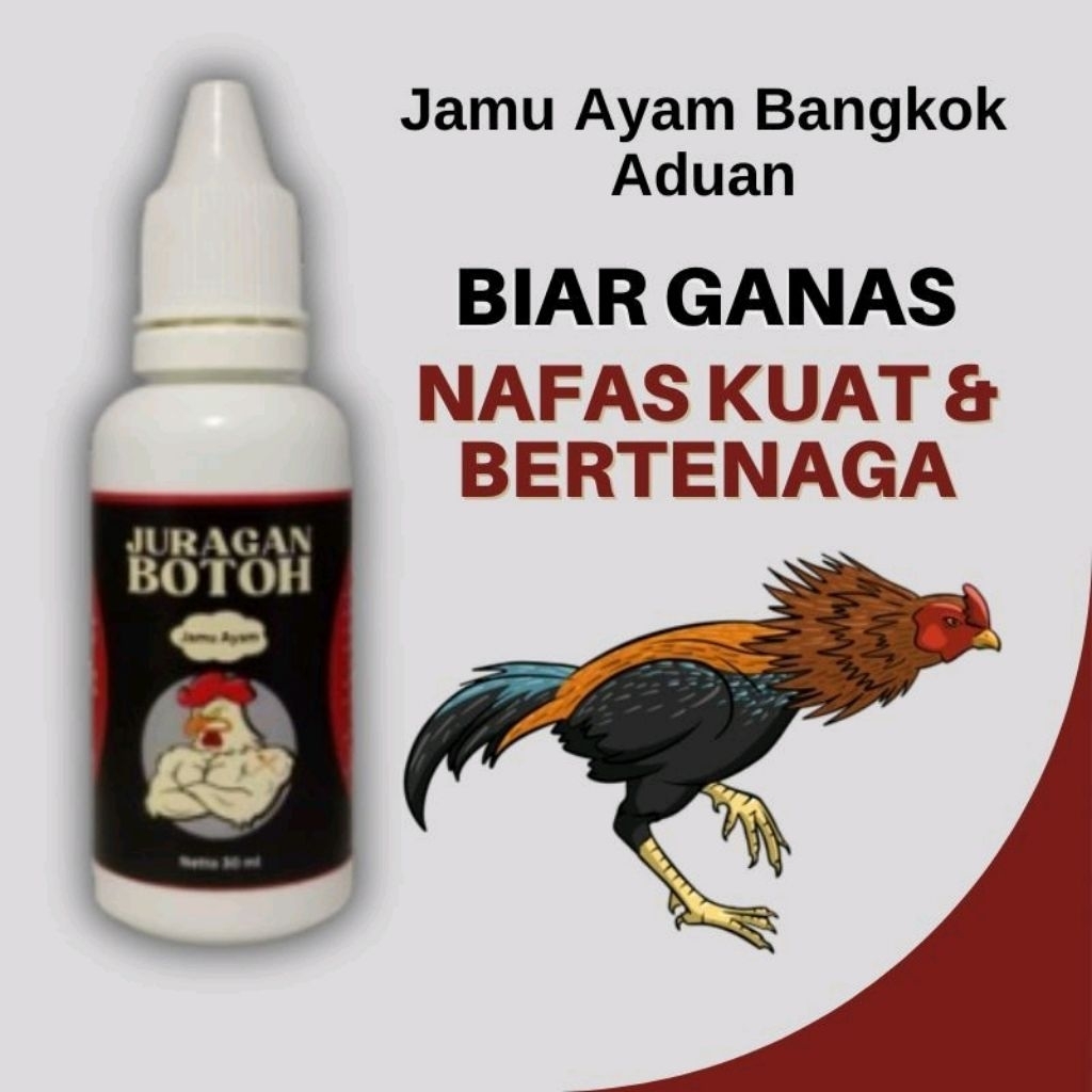 Jamu Ayam Bangkok Aduan Juragan Botoh Biar Ganas Nafas Kuat Dan Bertenaga Full Power