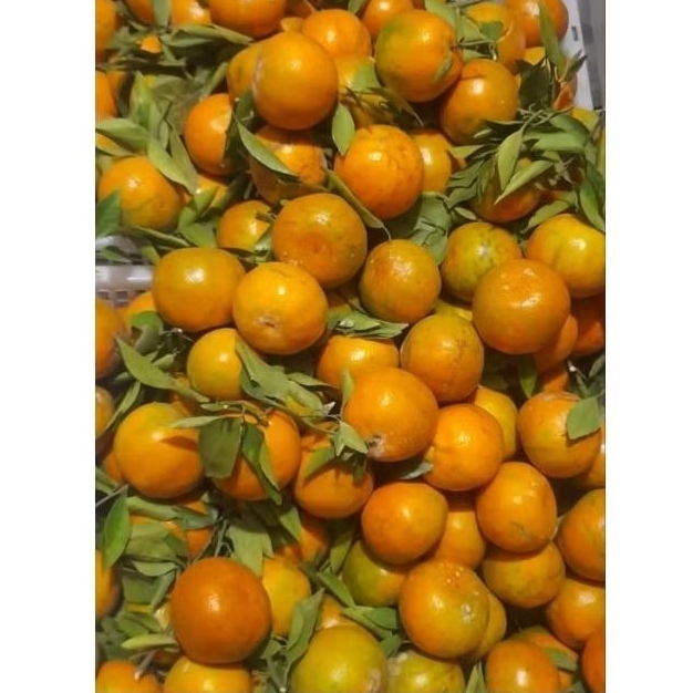 

jeruk siem madu premium jumbo 1kg