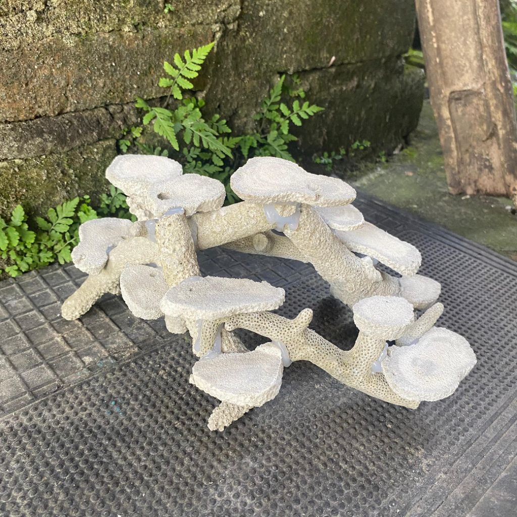 SCAPING BATU KARANG UKURAN 28CM DEAD ROCK BATU KARANG RANGKAI DEKORASI AKUARIUM AQUASCAPE