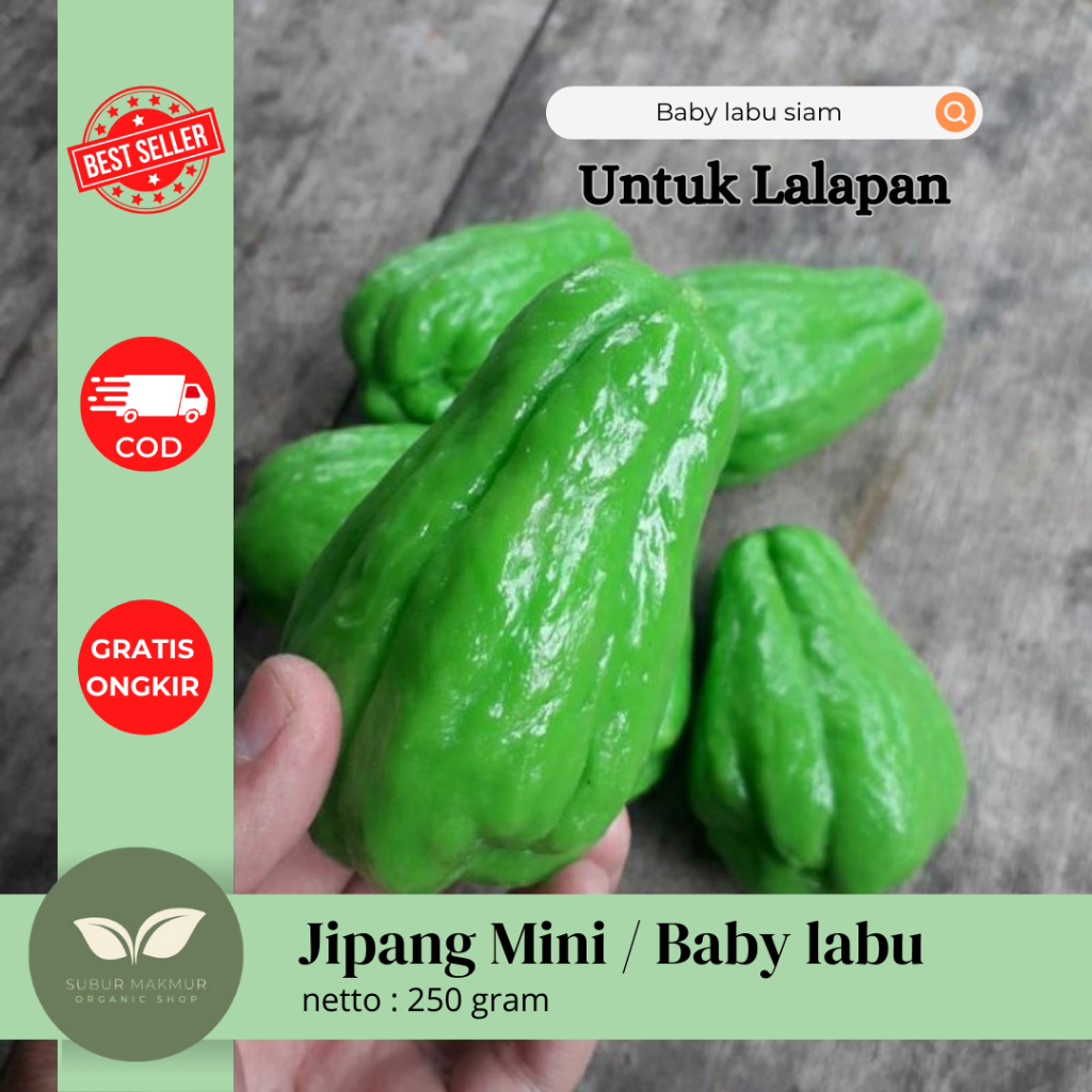 

Labu Siam Mini 250g | Sayur Segar Organik | Cocok untuk MPASI