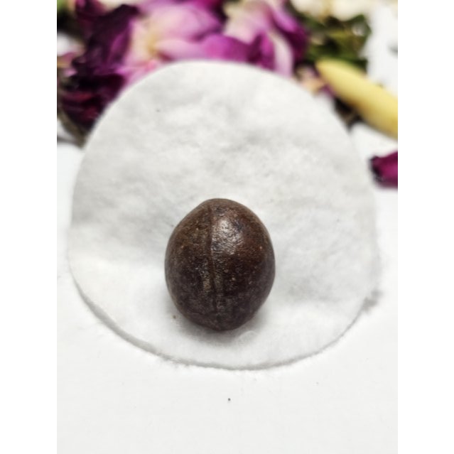 Batuan Fosil Biji Salak