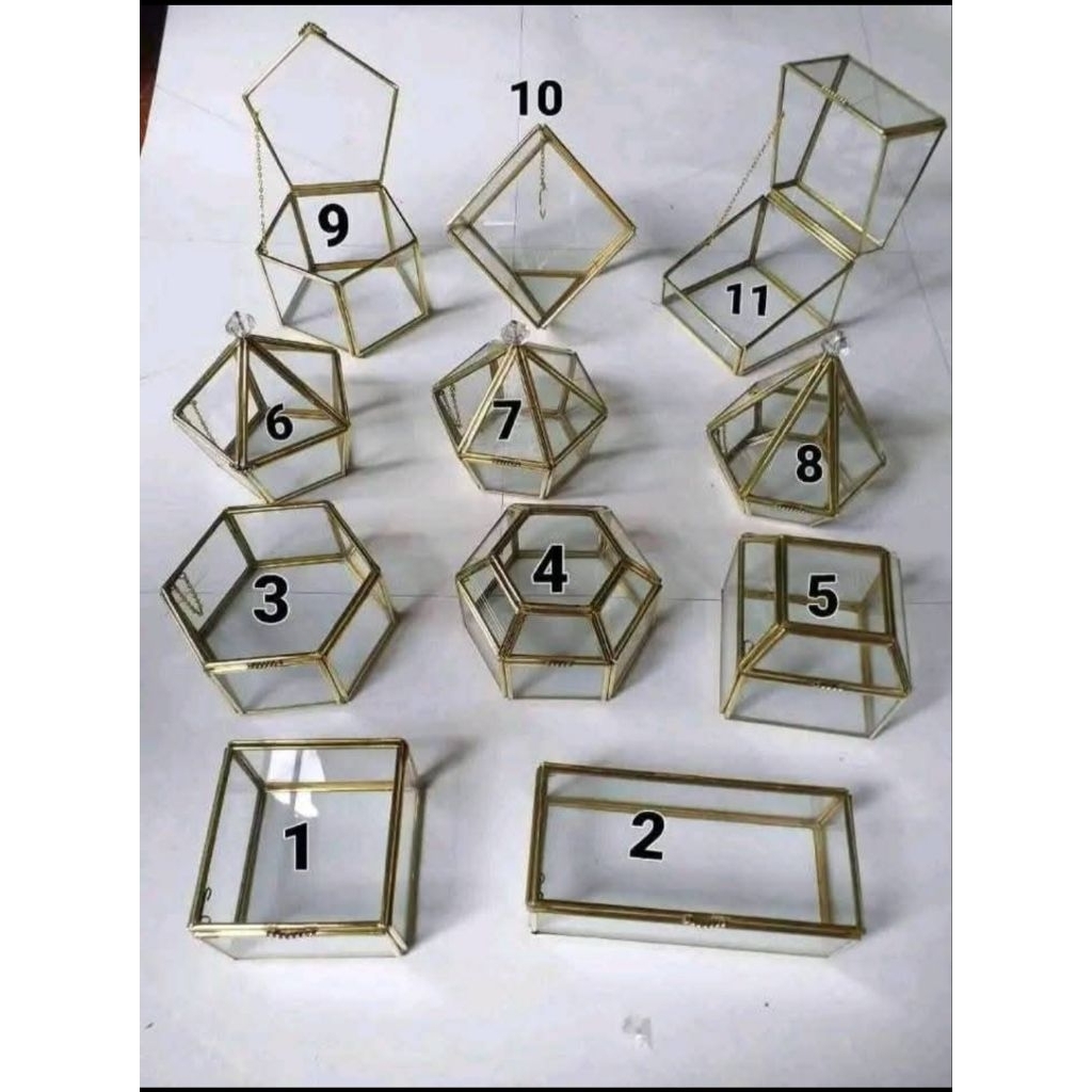 Box Hantaran Terarium