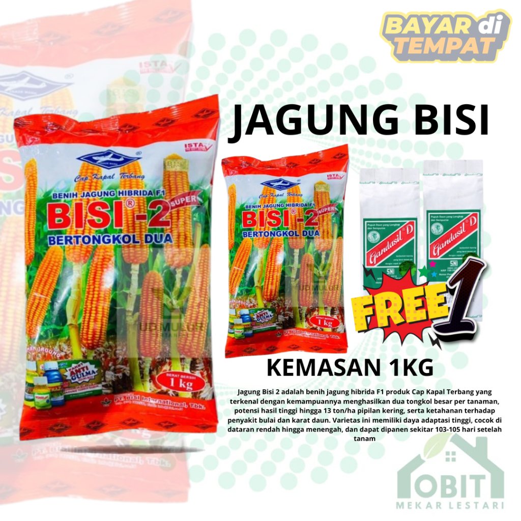 Benih Jagung Hibrida Bisi 2 Kapal Terbang Original Tongkol 2 BELI 3 FREE 1 GANDASIL