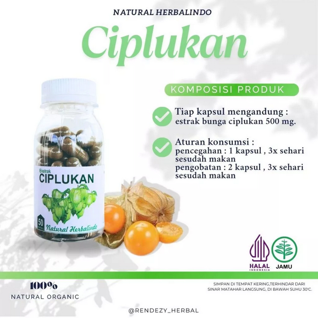 Obat Herbal Stroke Suplemen Saraf Otak Ciplukan Kapsul