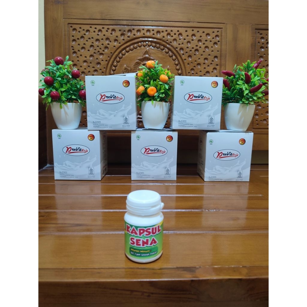 

NUTRISI PAKET VIP