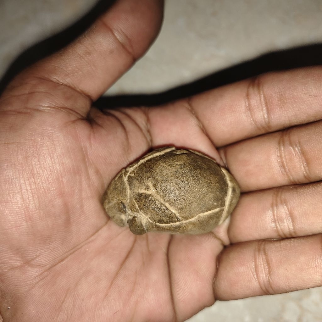 peninggalan mbah batu langka antik kuno