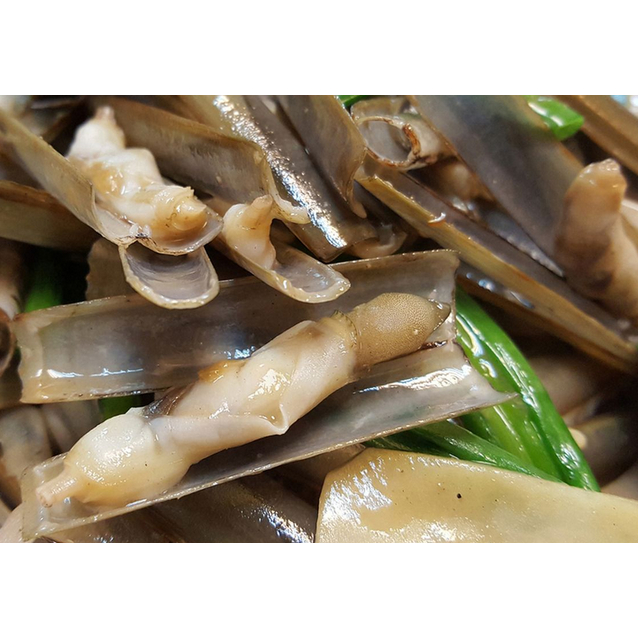 

Kerang Bambu 500gr - 1Kg | JBP_Fresh